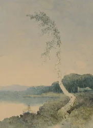 Sølvbjørk ved en innsjø, 1845 (wc på papir)